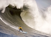 Kaiyuan Game Card-硬仗之王西亚卡姆，从NBA到CBA，老鹰击败辽宁队的启示