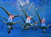 开云棋牌APP-文班亚马的救赎之夜，当开拓者撕裂太阳的防线