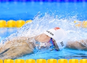 游戏试玩模拟器-2026世界杯焦点战，山西队强压广东队，中国篮球新格局的预演