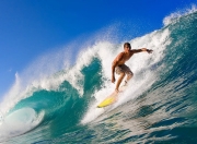 游戏试玩模拟器-小贾伦·杰克逊的觉醒之夜，尼克斯冲垮灰熊，关键先生如何从质疑中崛起