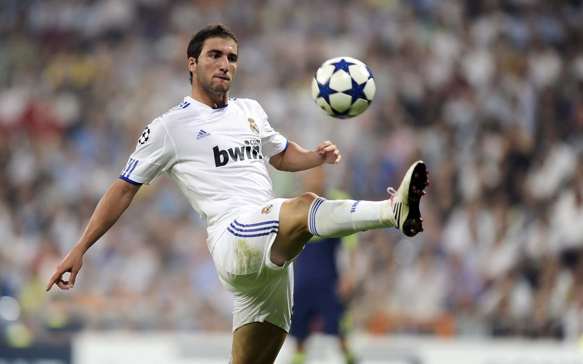 南半球的足球风暴，从新西兰制霸卡塔尔到帕尔默在德甲的崛起