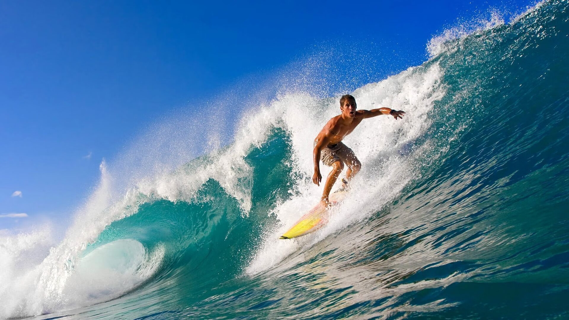 塞内加尔对阵伊朗，凯恩意外成为全场焦点